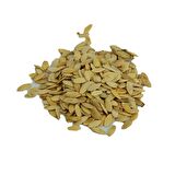 Doğal Salatalık Tohumu Saf Salata Tohum 100GR Mini Paket