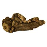 Doğal Saf Ravent Kökü Rhubarb 100Gr Paket