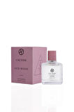 LACTONE 100ML Parfüm Oud Wood