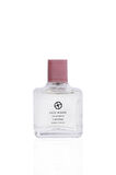 LACTONE 100ML Parfüm Oud Wood