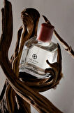 LACTONE 100ML Parfüm Oud Wood