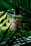 LACTONE 50ML Parfüm Wolf