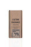LACTONE 50ML Parfüm Ocelot