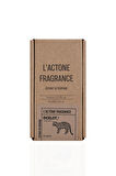 LACTONE 100ML Parfüm Ocelot