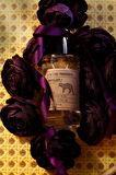 LACTONE 100ML Parfüm Ocelot