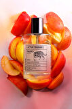LACTONE 100ML Parfüm Tiger