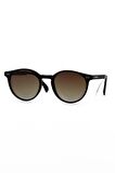 Toms Teddy Polarize/uv Güneş Gözlüğü Kahverengi Tt3069c202m