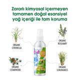 Cool Nemlendirici Parabensiz Tüm Cilt Tipleri için  Vücut Kremi 100 ml 
