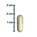 Folic Acid 400 Mcg 90 Kapsül - AROMASIZ