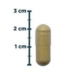 Milk Thistle Complex 30 Kapsül - AROMASIZ