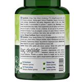 Ginkgo Biloba 120 Mg 60 Kapsül - AROMASIZ