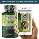 Ginkgo Biloba 120 Mg 120 Kapsül - AROMASIZ