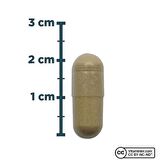 Korean Panax Ginseng 60 Kapsül - AROMASIZ