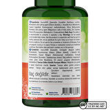 Quercetin Complex 60 Kapsül - AROMASIZ