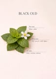 Black Oud Oda Kokusu (250 ml)