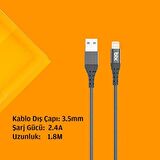 Bix Güçlendirimiş Apple Lightning Şarj ve Data Kablosu Gold