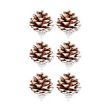 Yılbaşı Çam Ağcı Süsü Naturel Kozalak 4 cm 6'lı