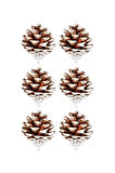 Yılbaşı Çam Ağcı Süsü Naturel Kozalak 4 cm 6'lı