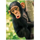 KS Games Hayvanlar 100 Parça Çocuk Puzzle