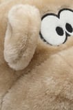 Twigy Erkek Panduf AA0624