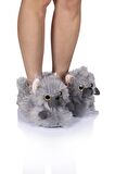 Twigy Kedi Gri Kadın Panduf Terlik CC0617