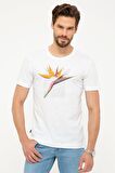 Beyaz Slim Fit Bisiklet Yaka T-Shirt