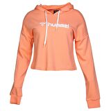 Hummel Gala Hoodie 920849-5017