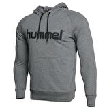 Hummel Volus Hoodie 920903-2006