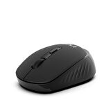 Inca IWM-243RS Candy Desing  4D Silent Wireless Mouse -Siyah