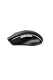 Inca IWM-393RT Sessiz Usb Kablosuz Mouse
