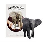 Animal 4D+