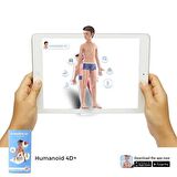 Humanoid 4D+