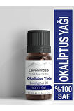 Lavendrose Okaliptus Yağı %100 Saf- Bitkisel Aromaterapi Okaliptus Uçucu Yağı 10ml -eucalyptus Oil