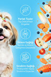 Chefs Kibbles Norveç Somonlu Küçük ve Mini Irk Köpek Maması 15KG