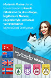 Chefs Kibbles Norveç Somonlu Küçük ve Mini Irk Köpek Maması 15KG