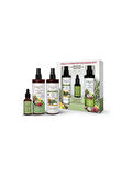 Daily Dream Care Rosemary Miracle Güçlü Mucizevi Saç Bakım Seti Biberiye Bakımı 3'lü Set (Tonik + Serum)