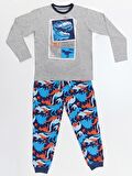 T-rex Info Erkek Çocuk T-shirt Pantolon Takım