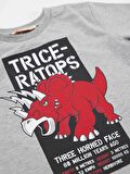 Triceratops Erkek Çocuk T-shirt Kapri Takım