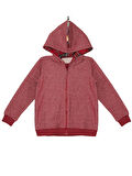 Ejderha Erkek Çocuk Kapişonlu Sweatshirt