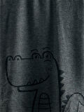 Dinozor Erkek Çocuk Gri Alt Üst Pijama Takım