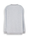 Roar Erkek Çocuk Gri Sweatshirt