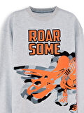 Roar Erkek Çocuk Gri Sweatshirt