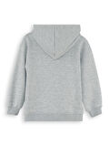 Dinozor Erkek Çocuk Fermuarlı Kapüşonlu Gri Sweatshirt