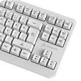 GameBooster G75 Elya Rainbow Aydınlatmalı Beyaz TKL Membrane Gaming Klavye