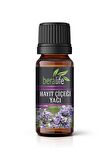 Havuç Yağı - 20 ml Havuç Yağı