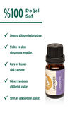 Lavanta Uçucu Yağı Lavandula angustifolia - 10ml