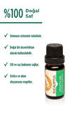 Okaliptüs Uçucu Yağı Eucalyptus globulus - 10ml