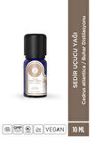 Atlas Sedir Uçucu Yağı - 10ml