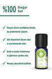 Selvi Uçucu Yağı - 10ml