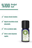 Okaliptus globulus Uçucu Yağı - 10ml